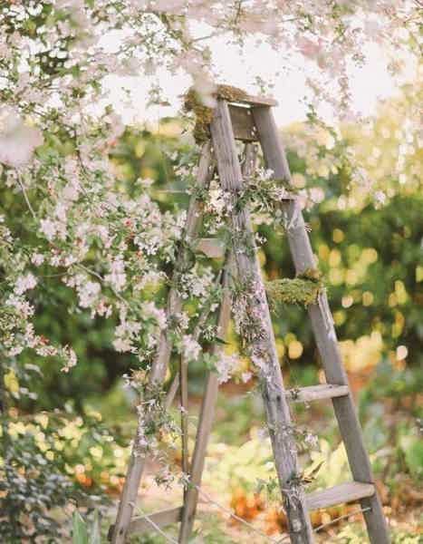 Арт-пикник в цветущем яблоневом саду - фото 2