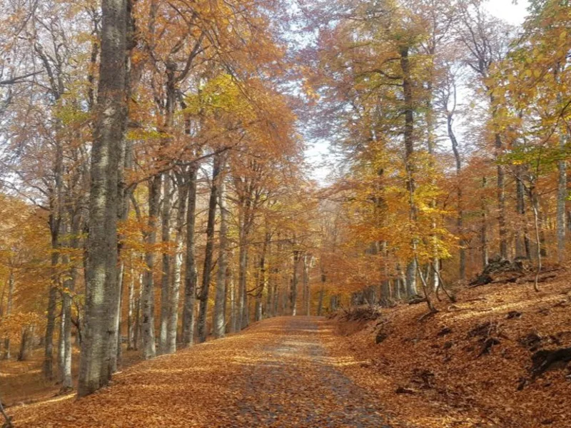 Заповедная природа. Поездка в национальный парк «Крымский» — фото 3, Ялта | Покатаем