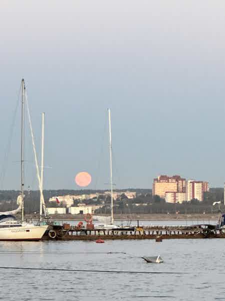 На яхте по Пермскому морю - фото 4