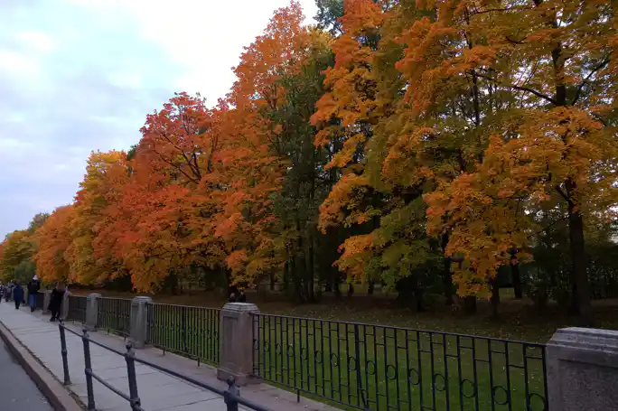 Екатерининский и Александровский: парадные парки Царского Села за один день