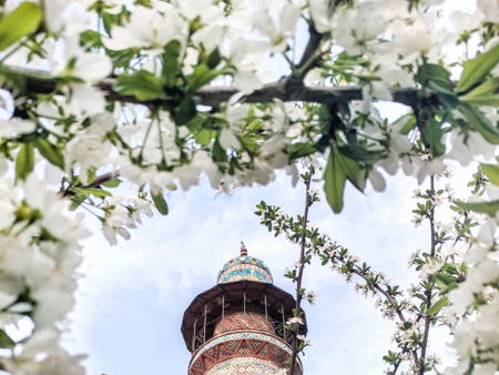 Северный проспект 