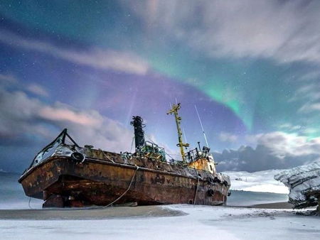 Птичий базар