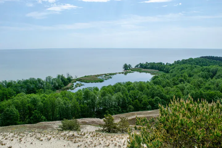 Озеро Лебедь