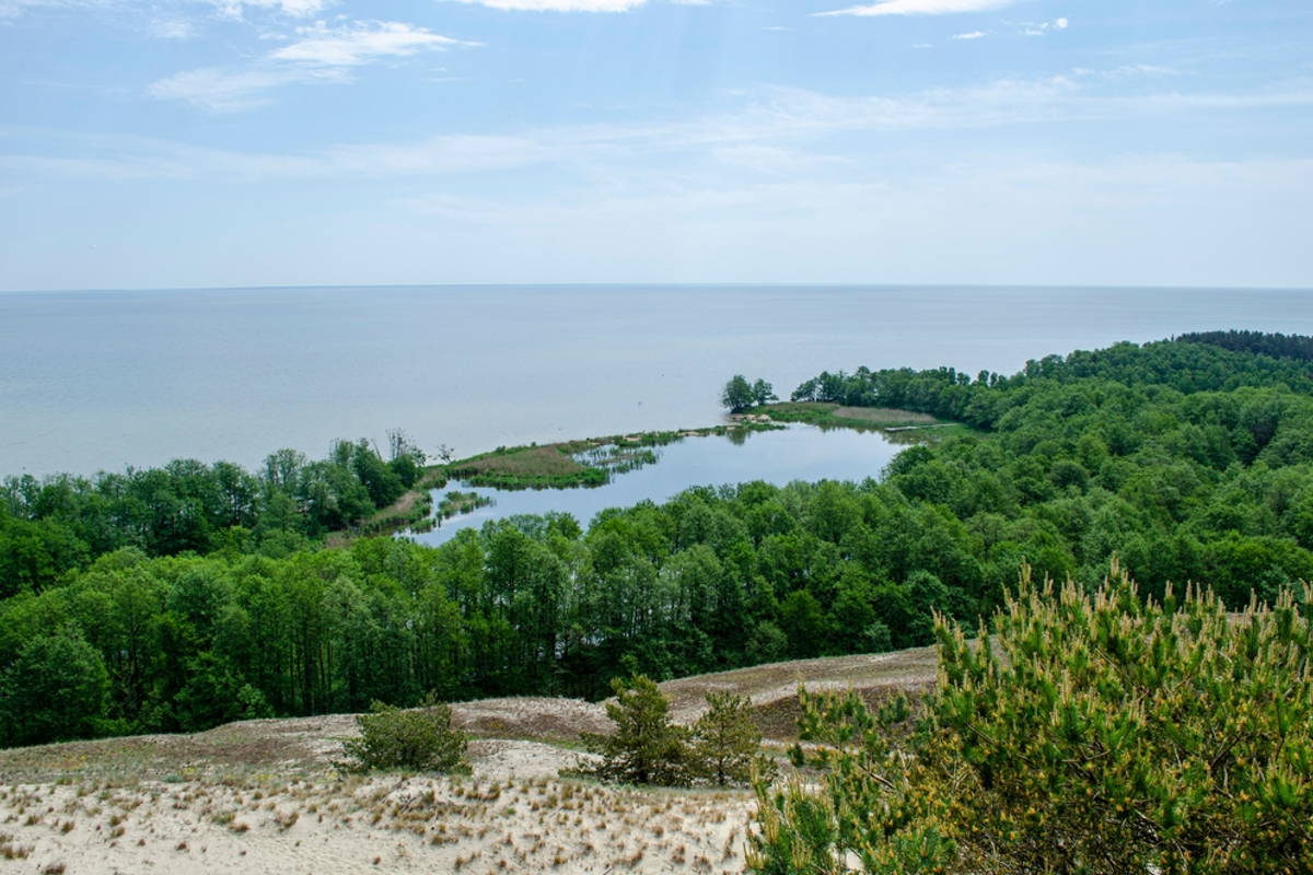 Озеро Лебедь