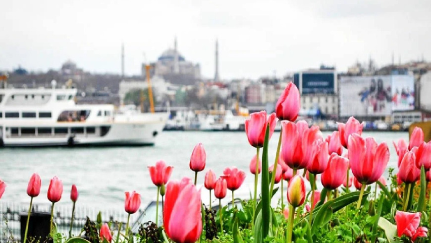 Фестиваль тюльпанов в Стамбуле–2021
