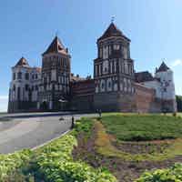Экскурсия "Экскурсия в Несвижский дворец и Мирский замок" - фото отзыва 1