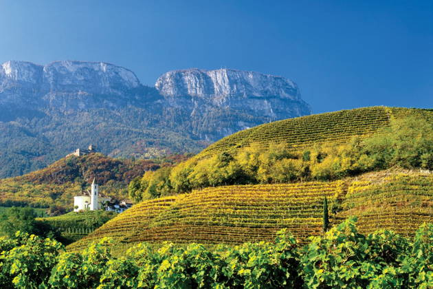 Винно-гастрономический тур по Южному Тиролю: «Дорога вина»