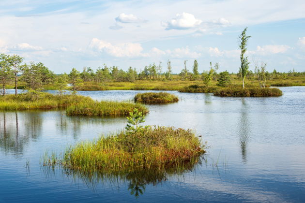 Виды Тайны Южной Ельни