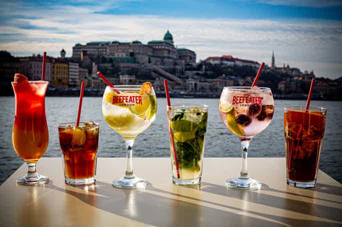 Cocktails on board: Коктейль-круиз по Дунаю