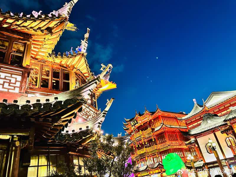 VIP-тур по Шанхаю на один день с отправлением из аэропорта или отеля - фото 4