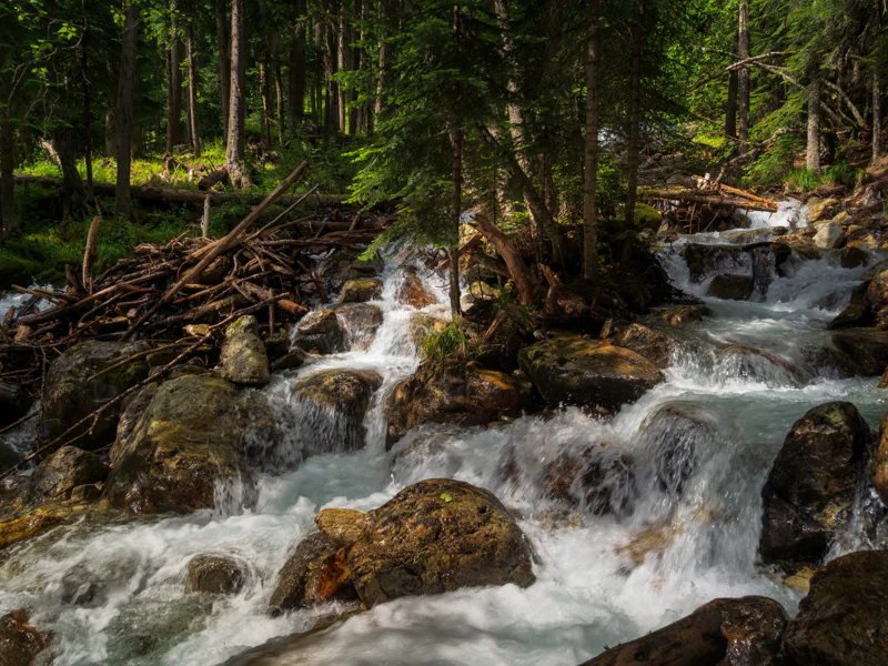 Прогулка к Белому водопаду: несложный треккинг в горах — фото 3, Архыз | Покатаем