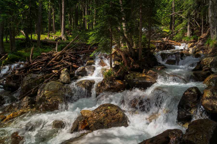 Прогулка к Белому водопаду: несложный треккинг в горах - фото 2