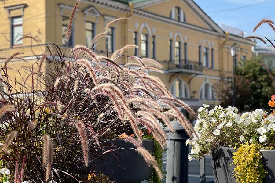 Мобильный квест «Преступление и наказание» (мобильное приложение БЕЗ гида) - фото 3
