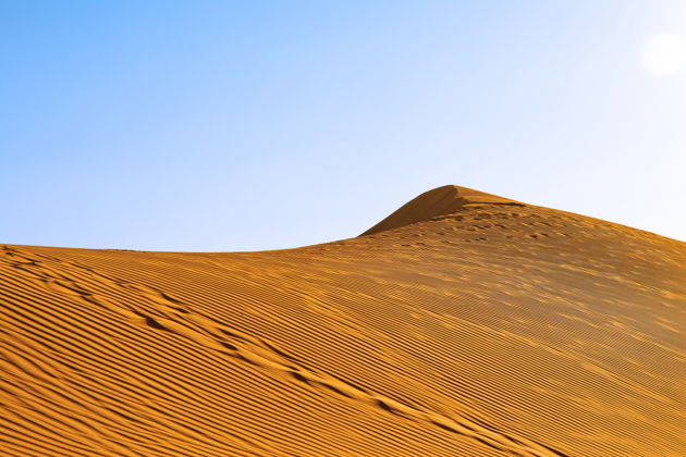 Виды Сафари по пустыне Хатта и сад медоносных пчёл