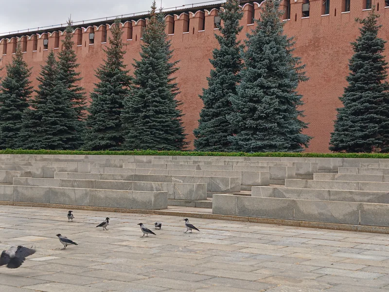 Пешеходная экскурсия-хоррор «Кремль — территория призраков» (21+) — фото 6, Москва | Покатаем