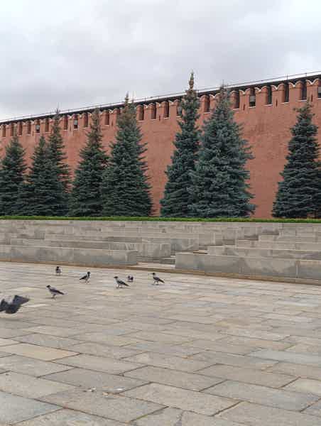 Пешеходная экскурсия-хоррор «Кремль — территория призраков» (21+) - фото 5