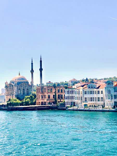 Стамбул за 5 часов — индивидуальная обзорная экскурсия  - фото 5