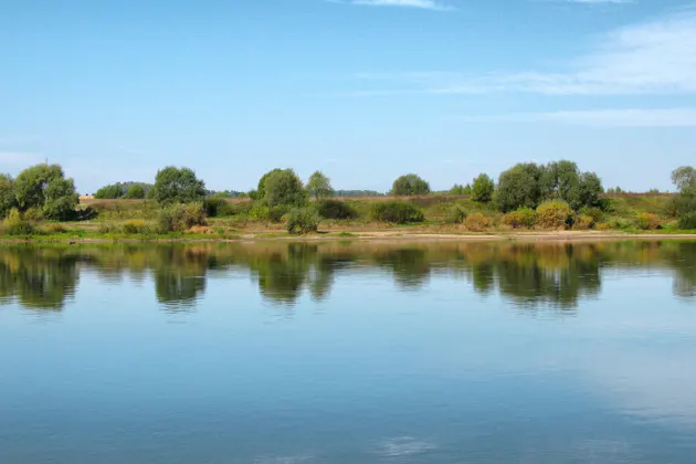 Из Тулы в Поленово и Бехово (на транспорте заказчика) — фото 3