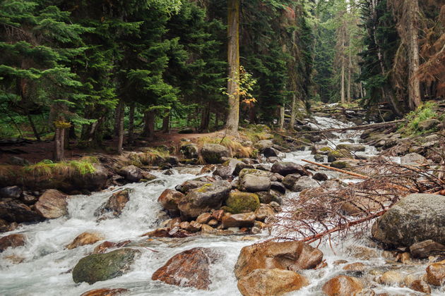 Виды Домбай — место силы (в мини-группе)
