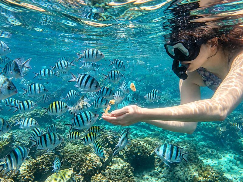 Жемчужная ферма в море + пляж морских звёзд: групповой тур — фото 2, Фукуок | Покатаем