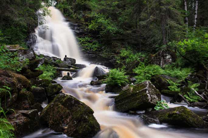 Новогодние хиты Карелии: долина водопадов, финская уха, хаски и музей в скале
