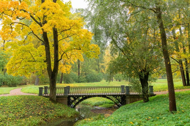Виды Литературное Царское Село