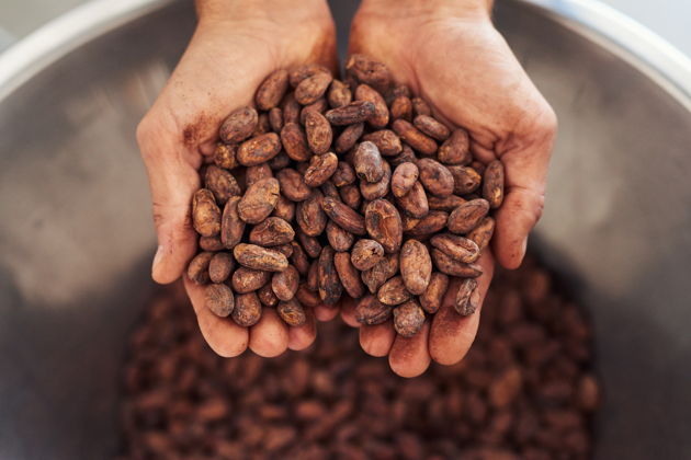 Шоколадный мастер-класс в Вене с дегустацией и созданием плитки шоколада