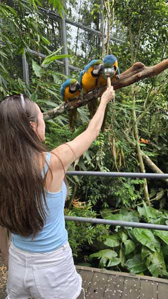 Север острова Себу - сафари-парк и горячие источники  - фото 1