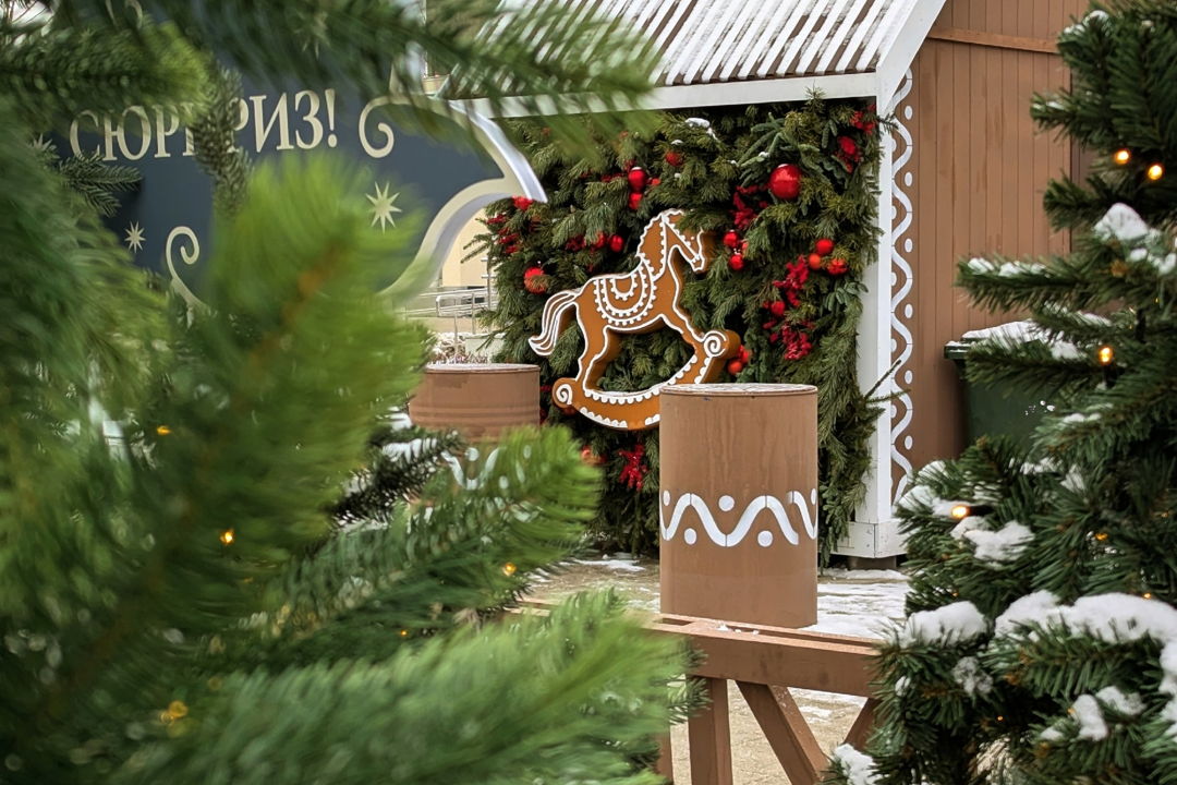 Зимняя Рязань со Снегурочкой — новогодняя прогулка по старинному городу — фото 4
