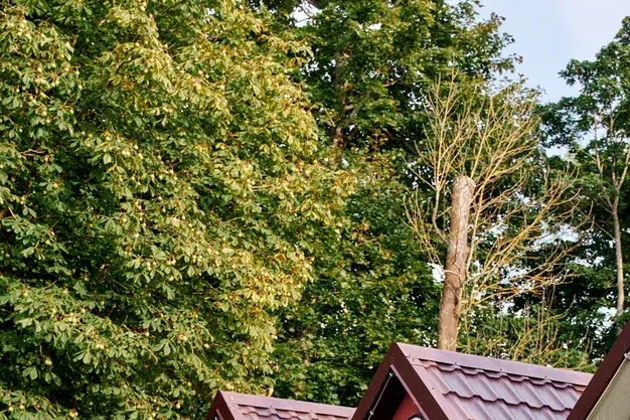 Виды  Янтарный и Светлогорск + посещение производства и янтарной настойки