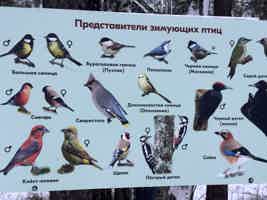Экскурсия "Путешествие в природный парк «Оленьи ручьи»" - фото отзыва 5