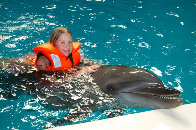 Swimming with dolphins in Antalya