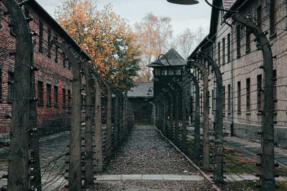 Auschwitz-Birkenau and Wieliczka Salt Mine Full-Day Trip
