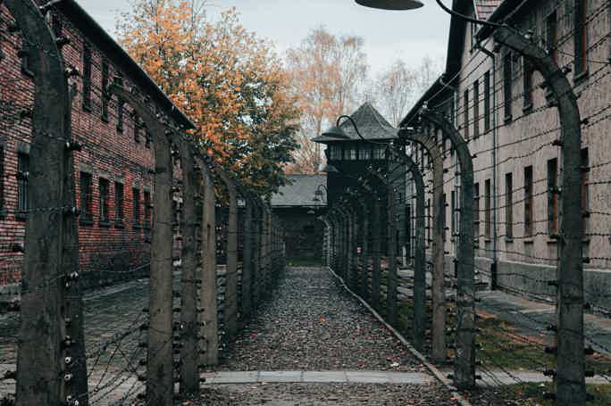 Auschwitz and Wieliczka Salt Mine Full-Day Trip