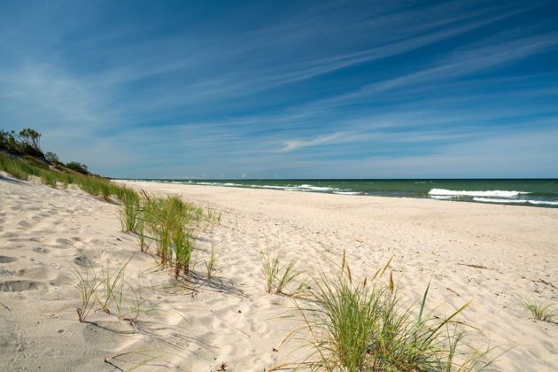 Виды Индивидуальная поездка на Куршскую косу с опытным гидом-экскурсоводом