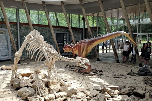 Виды Пещеры и храмы Кутаиси  (групповой тур)