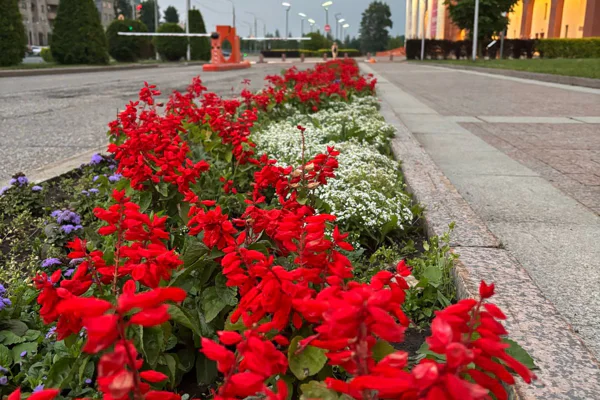 Знакомство с тысячелетним Ярославлем: обзорная экскурсия по городу — фото 4, Ярославль | Покатаем