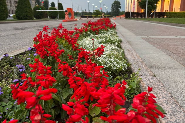 Знакомство с тысячелетним Ярославлем: обзорная экскурсия по городу — фото 3