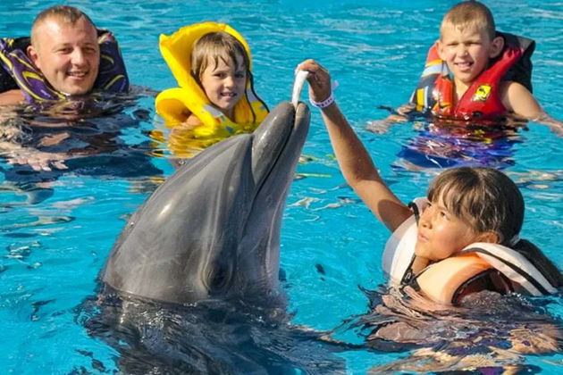 Главное изображение экскурсии - Плавание с дельфинами в Белеке