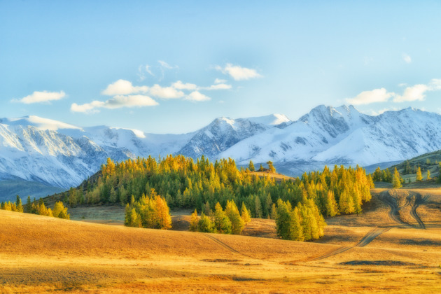 Эхо Золотых гор Алтая (4 дня)