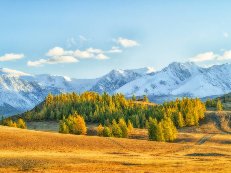 Эхо Золотых гор Алтая (4 дня)