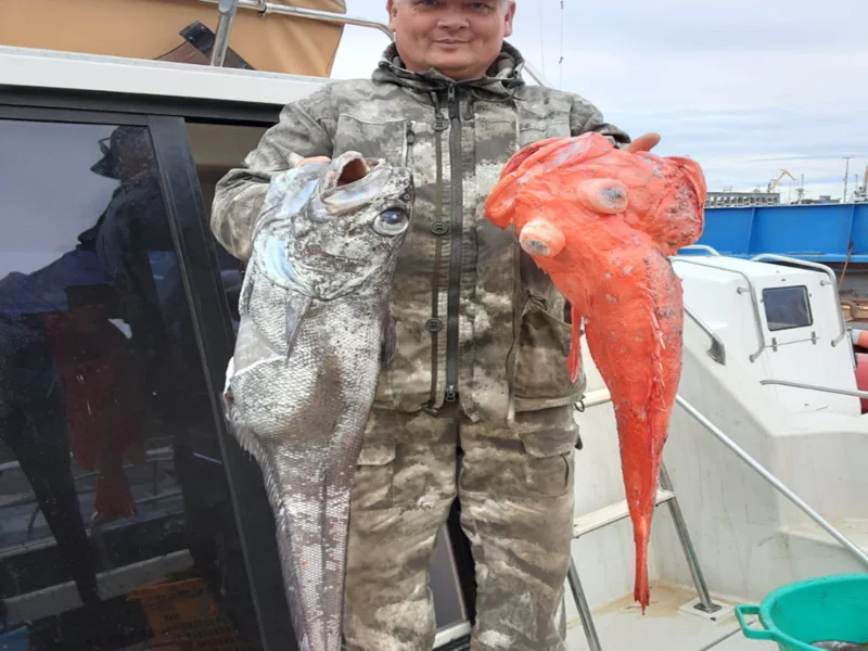 Морская и глубоководная «Трофейная» рыбалка, крабовое сафари в Тихом океане — фото 5, Петропавловск-Камчатский | Покатаем