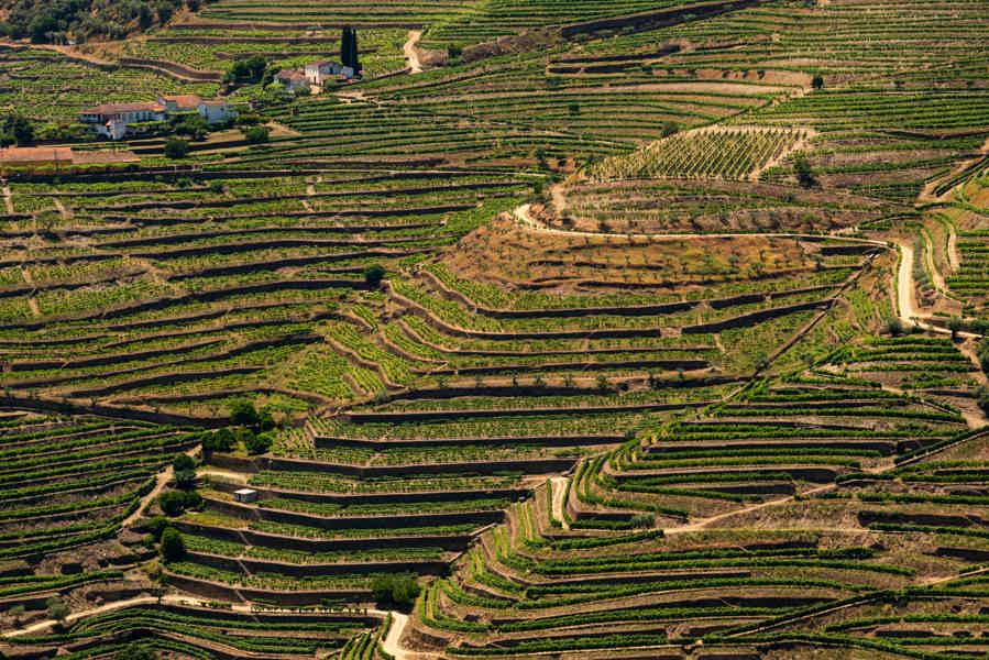 Private Douro Valley Trip with Wine Tasting & Booking Service - photo 1
