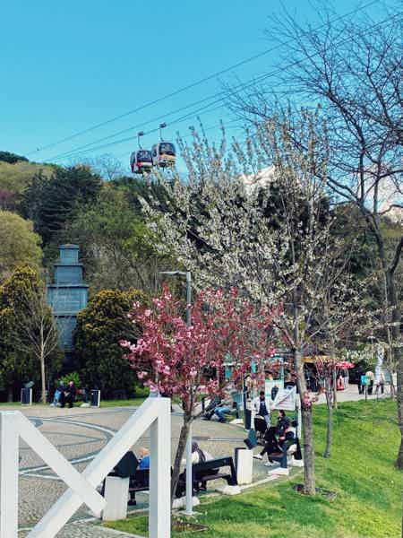 Нетуристический Стамбул: прогулка по современным районам (Европа+Азия) - фото 3