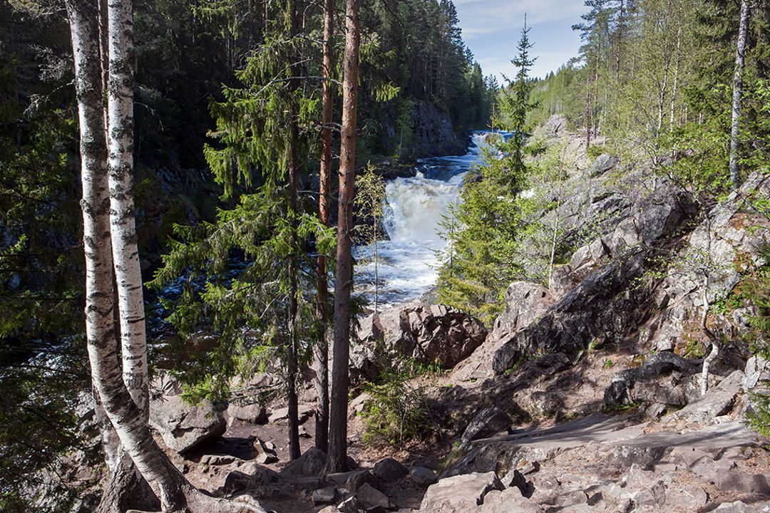 Тур на выходные в Карелию: остров Кижи, водопад Кивач (2 дня) — фото 3