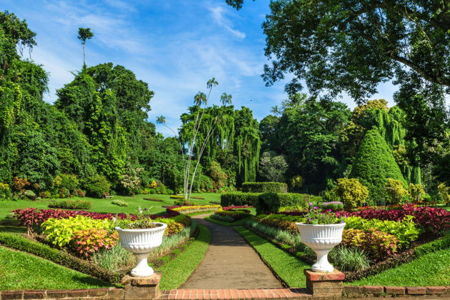 Канди: последняя столица Сингальских королей