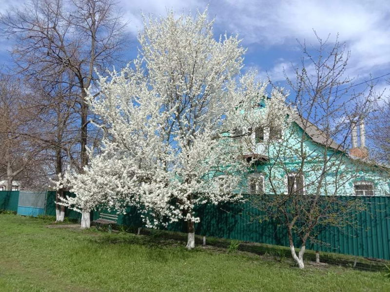 Куршская коса и немецкий форт - экскурсия в Зеленоградск, Россия