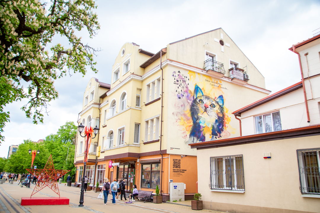 Утренняя Куршская коса и Танцующий лес из Зеленоградска — фото 2