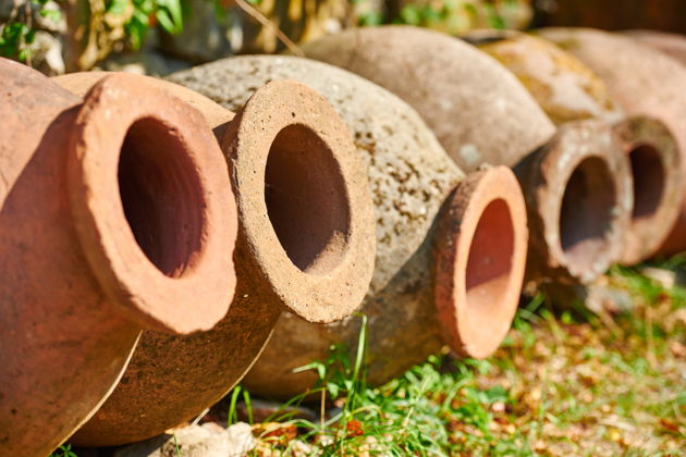 Виды Ртвели в Кахетии: Праздник винограда и вина