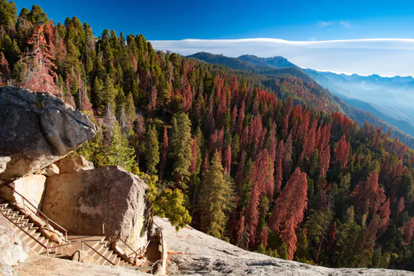Yosemite National Park and Redwoods — photo 2, Los Angeles | Pokataem